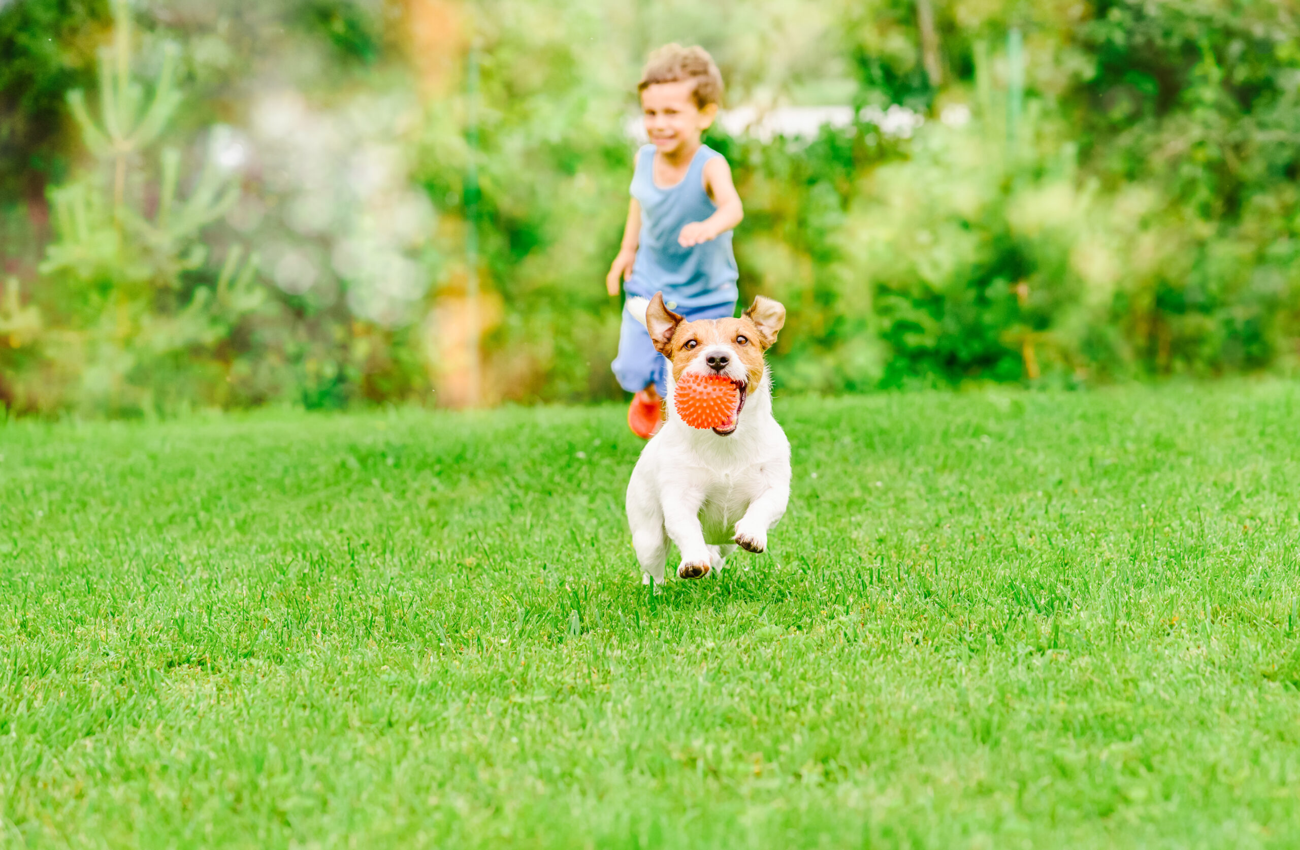 Spring playtime on a ProLawn