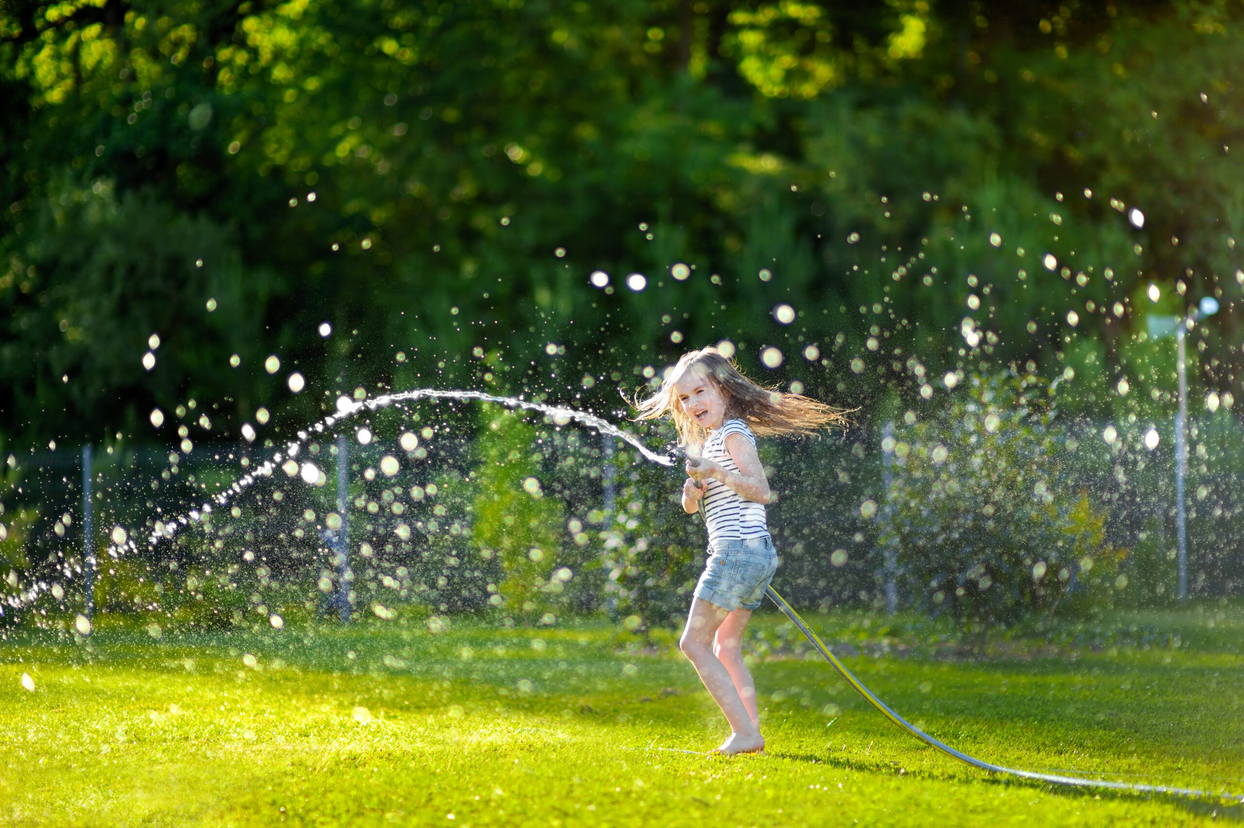 Summer Day on a ProLawn